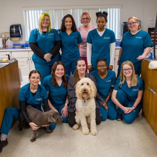 A group of smiling students pose for a photo with a dog 
