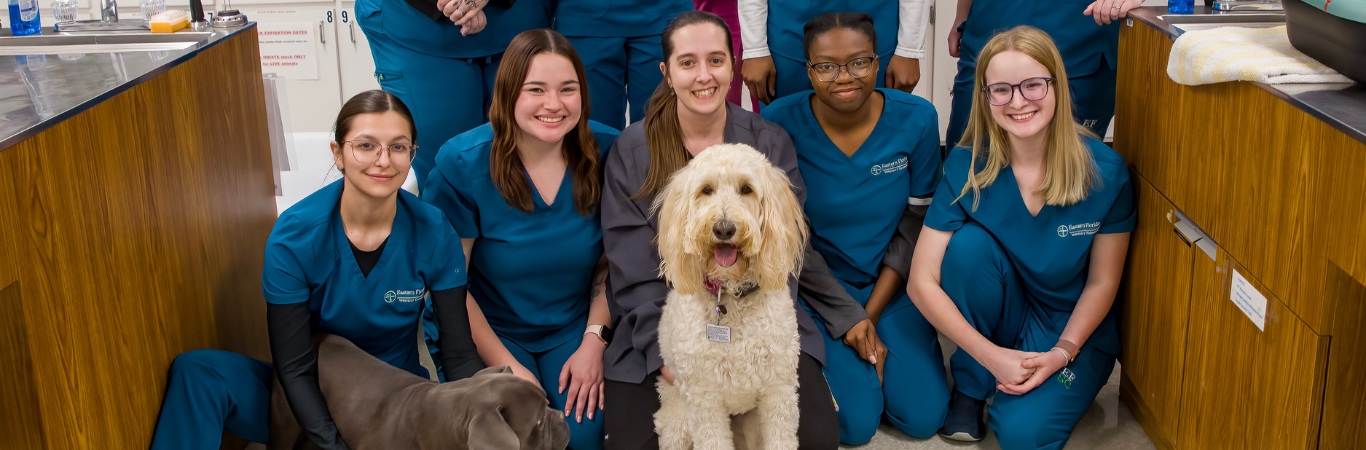 Veterinary Technicians with a dog