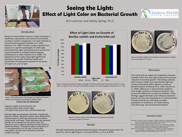 Kim Lachman Poster